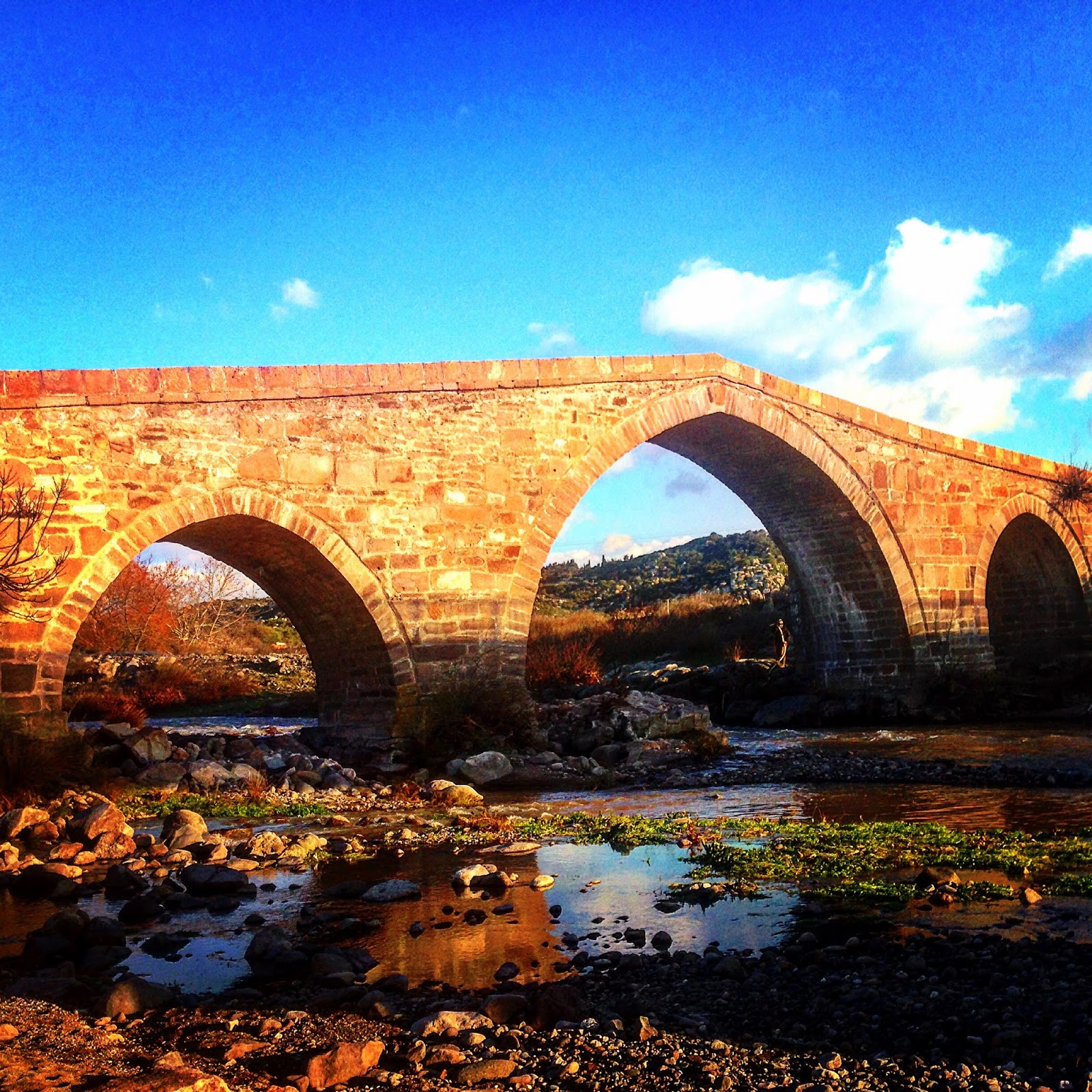 جسر قلعة أسوس