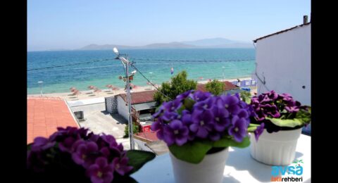 السياحة في جزيرة افسا .. أحد أجمل جزر تركيا